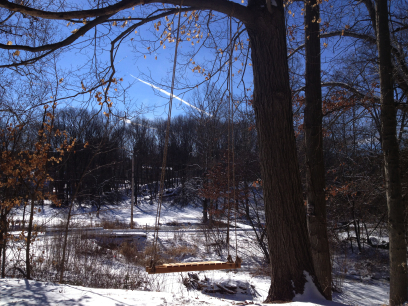 After the storm, spending time on my swing, January 24, 2016.jpeg