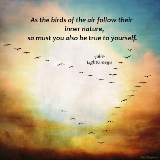 As the birds of the air-525x525.jpg