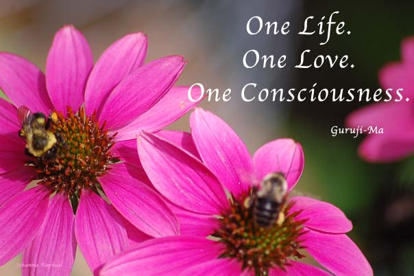 One-Life-One-Love-One-Consciousness-Guruji-Ma.jpg