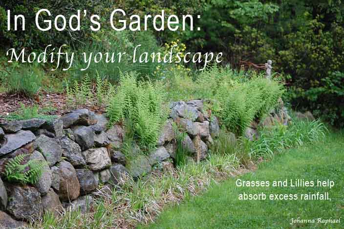 In-God's-Garden-Modify-landscape-adapting-to-climate-changes.jpg