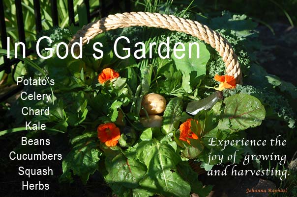 In-God's-Garden-Harvesting-The-Love-JohannaRaphael.jpg