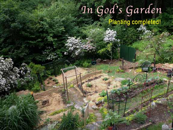 In God's Garden- Planting completed - 2020.jpg