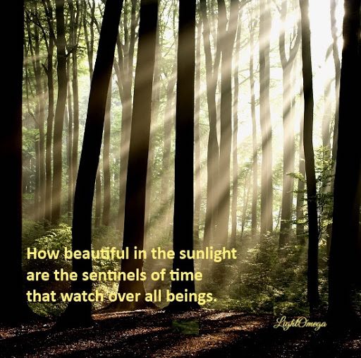 Sentinels-of-Time-LightOmega.jpg