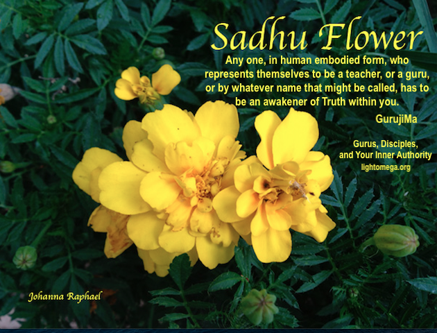 Sadhu Flower of Devotion - OEA 2021.png