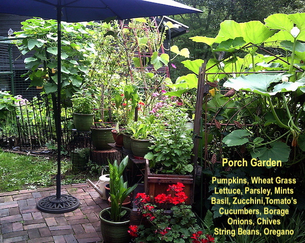 In-God's-Garden-porch-to-table-gardening-2023.JPG