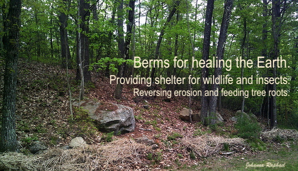 Berms for healing the Earth.jpg