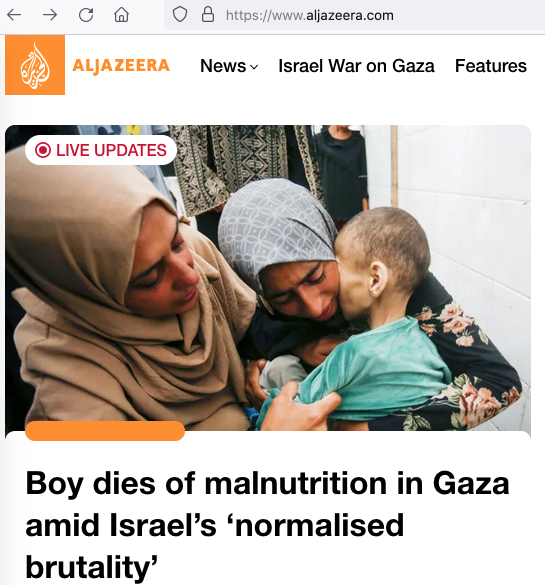 Two hundred children at risk of dying from enforced starvation.png