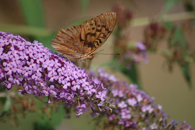 Sacred Space - Feed Eco Life .jpg