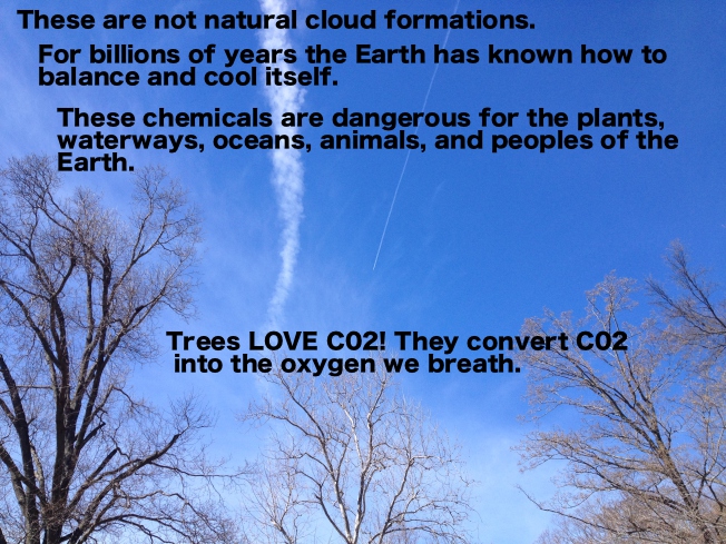 Trees LOVE C02 - they convert C02 into the oxygen we breath.JPG