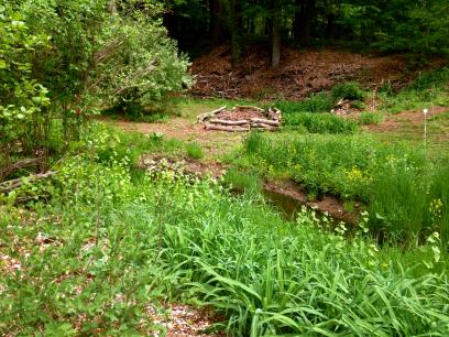 Leaf Compost pile by water way - Permaculture.jpg