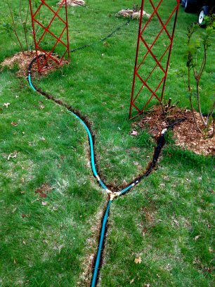 Water Conservation - PermaCulture - Irrigation drip hoses.jpg