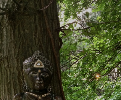 Tree Buddha of the West and Rest.jpg